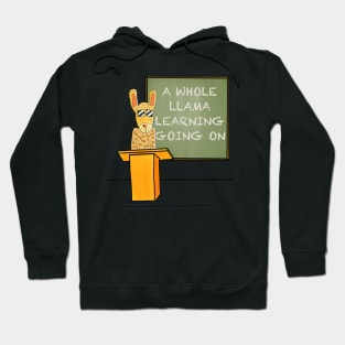 A Whole Llama Learning Going On Back To School Teacher Llama Hoodie